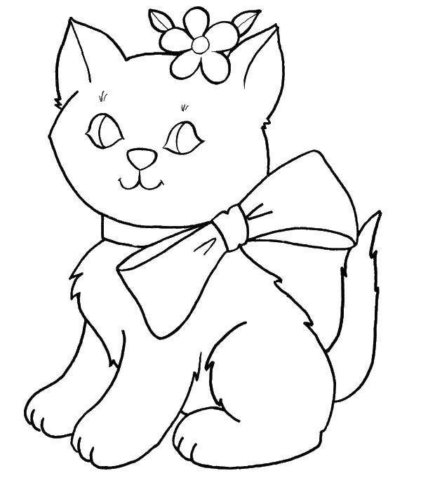 Название: Раскраска Кошечка с бантиком и цветочком. Категория: Для девочек. Теги: для девочек, кошки, кошечка, бантик.