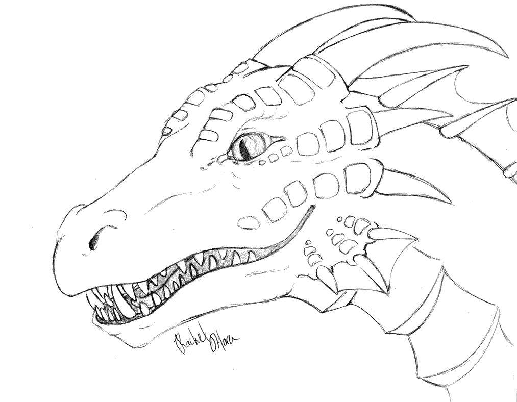 Coloring The insidious look. Category Dragons. Tags:  Dragons.