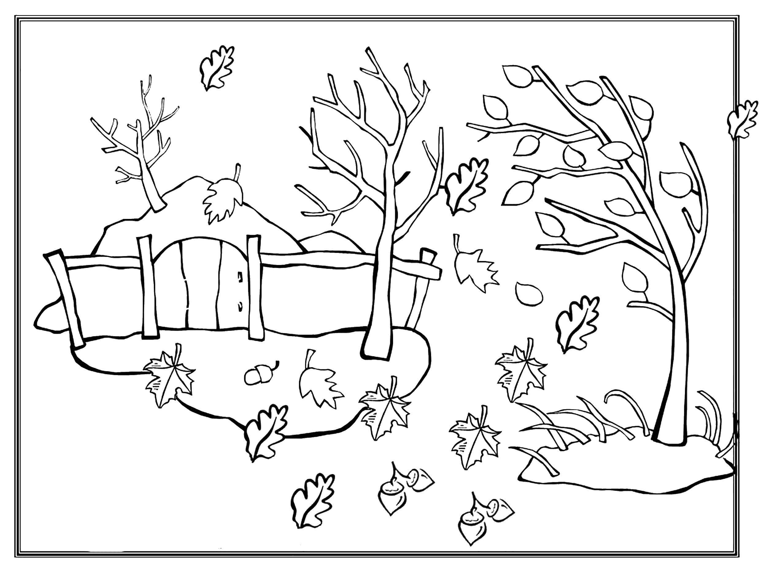 Название: Раскраска Осенний ветер срывает листья с деревьев. Категория: Природа. Теги: Лес, осень, листья.