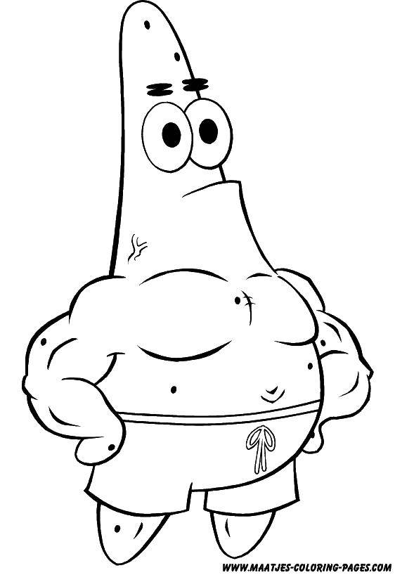 Coloring Patrick swung. Category Spongebob. Tags:  Cartoon character, spongebob, spongebob, Patrick.
