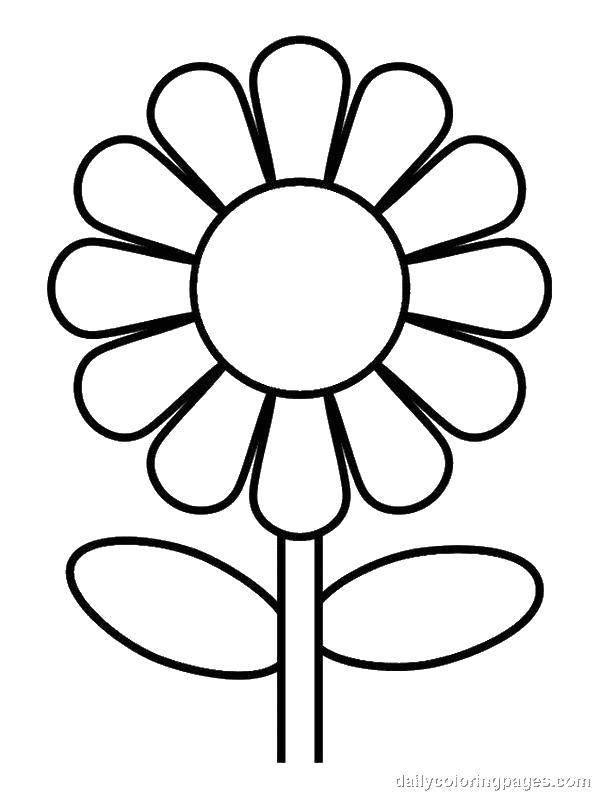 Coloring Simple flower. Category Flowers. Tags:  Flowers, color.