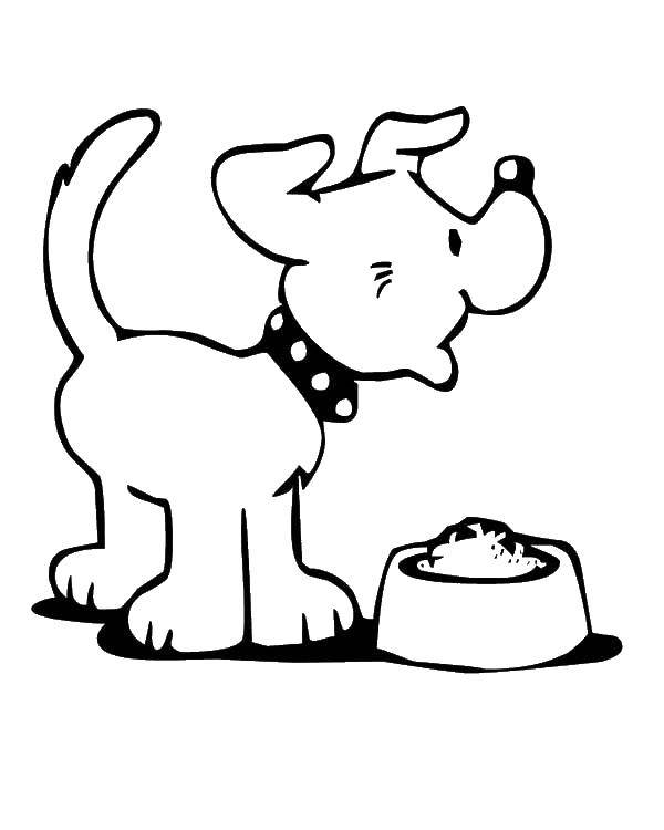 Название: Раскраска Пёс рад миске с кормом. Категория: Животные. Теги: Животные, собака.
