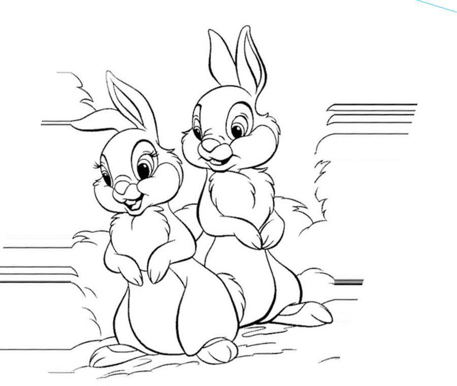 Название: Раскраска Рисунок два зайчика. Категория: домашние животные. Теги: заяц, кролик.
