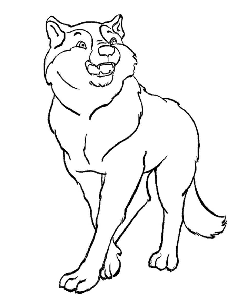 Название: Раскраска Рисунок волка. Категория: домашние животные. Теги: волк.