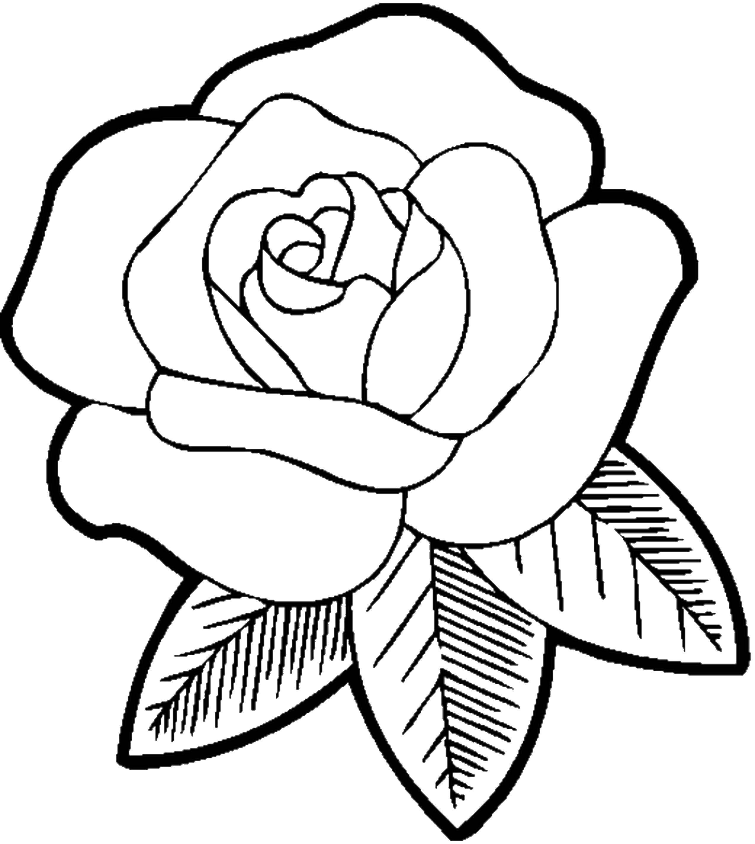 Название: Раскраска Розочка. Категория: цветы. Теги: Цветы, роза.