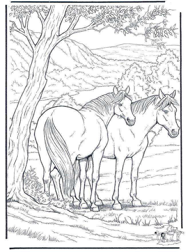 Coloring Family horses. Category Animals. Tags:  Animals, horse.