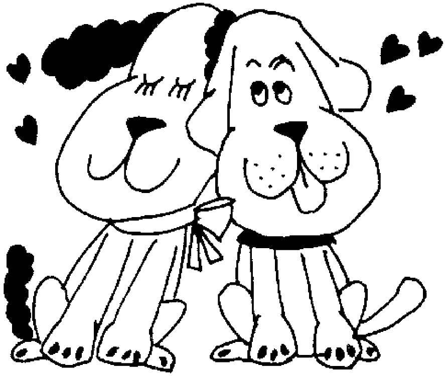 Coloring Dogs in love. Category Valentines day. Tags:  Animals, dog.