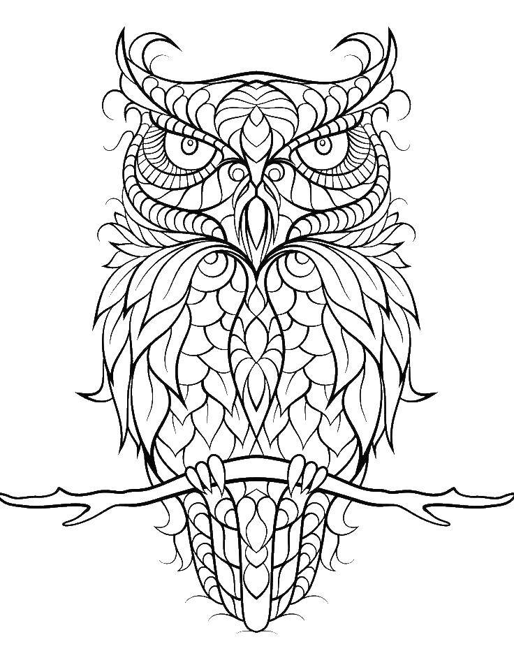 Coloring Owl from the leaves. Category night birds. Tags:  owl, bird.