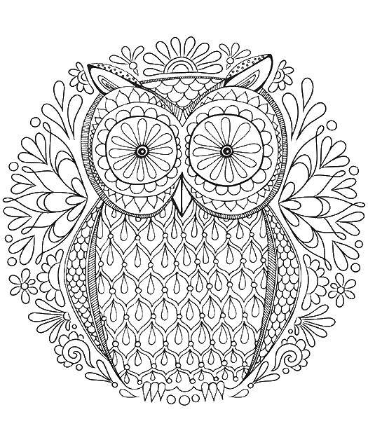 Coloring Owl patterns. Category Bathroom with shower. Tags:  Bathroom with shower, owl.