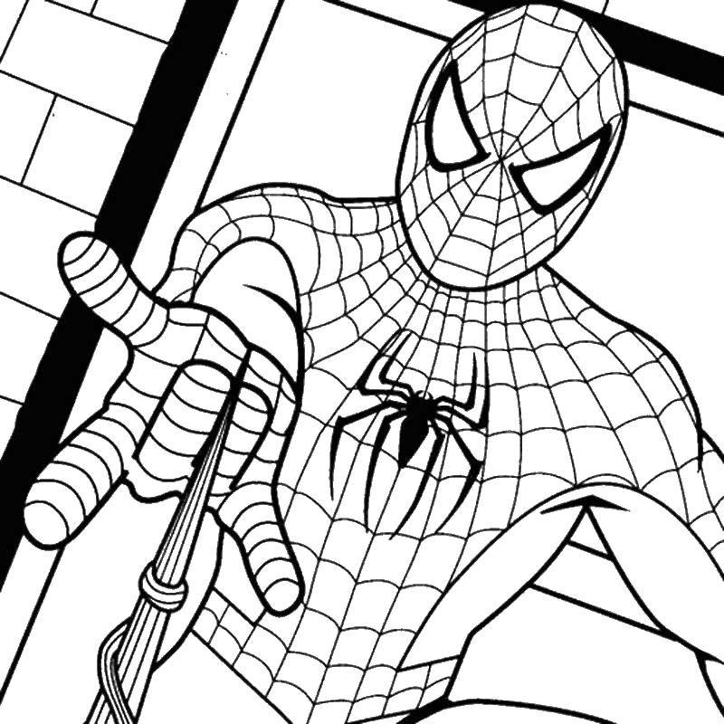Название: Раскраска Спайдермен выпускает паутину. Категория: Для мальчиков. Теги: для мальчиков, супергерои, спайдермен, паутина.