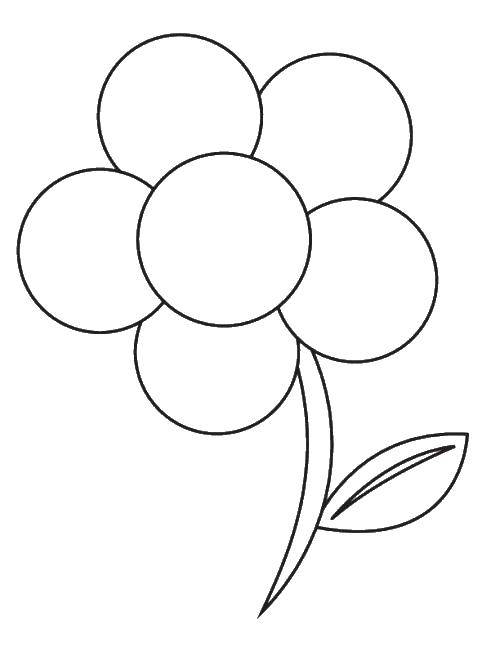 Coloring Flower. Category Flowers. Tags:  Flowers, flower.
