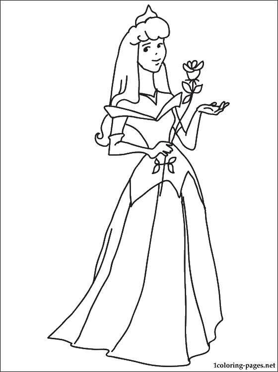Coloring Flower Aurora. Category Disney coloring pages. Tags:  Disney, Sleeping beauty.