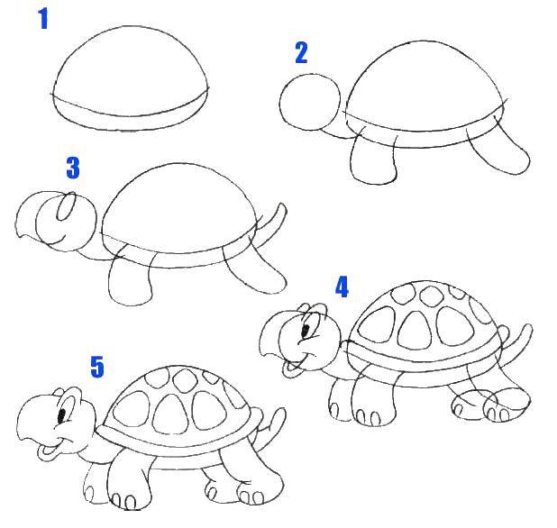 Название: Раскраска Учимся рисовать черепаху. Категория: дорисуй по образцу. Теги: образец, обучение, рисование, черепаха.