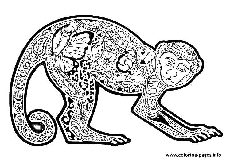 Coloring Patterned monkey. Category patterns. Tags:  patterns, animals, monkey.