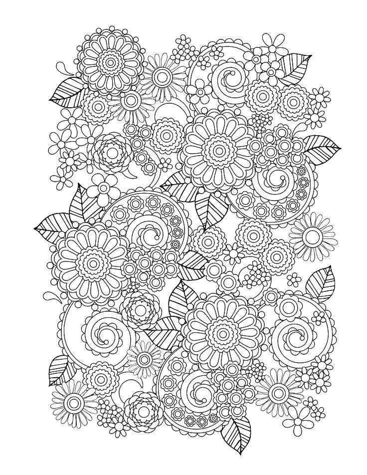 Coloring Patterned flowers. Category coloring antistress. Tags:  Bathroom with shower, flowers.