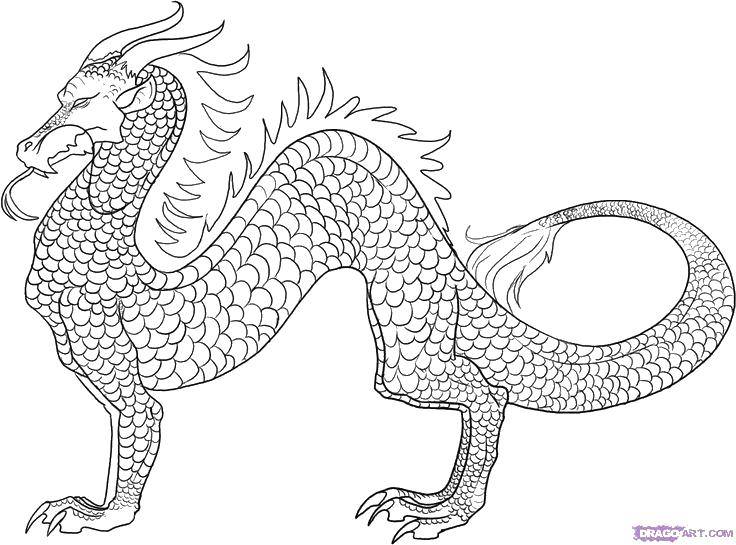Coloring Majestic dragon. Category Dragons. Tags:  Dragons, fire.