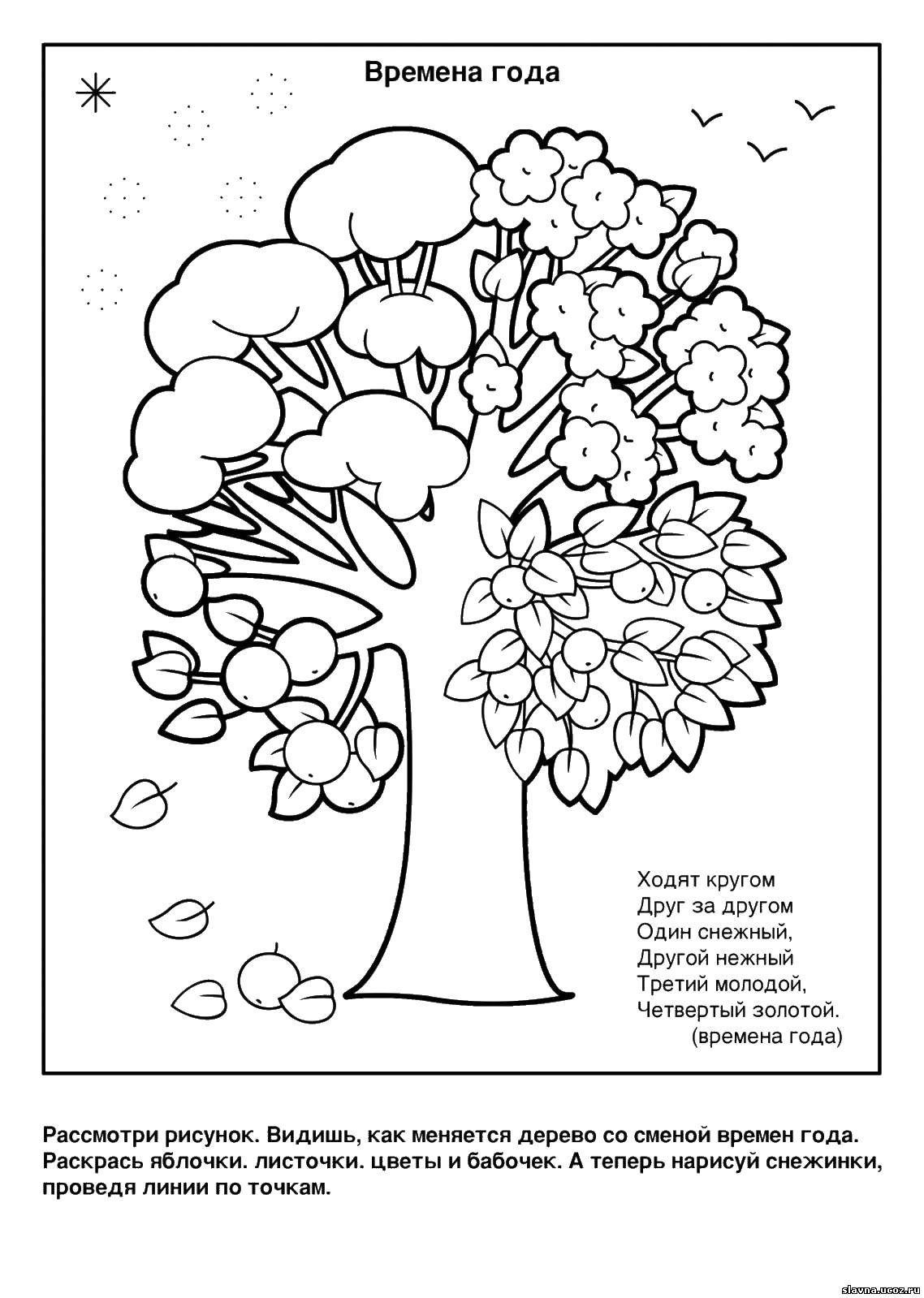 Coloring Seasons. Category puzzles , coloring pages. Tags:  seasons, riddles, coloring, thinking.