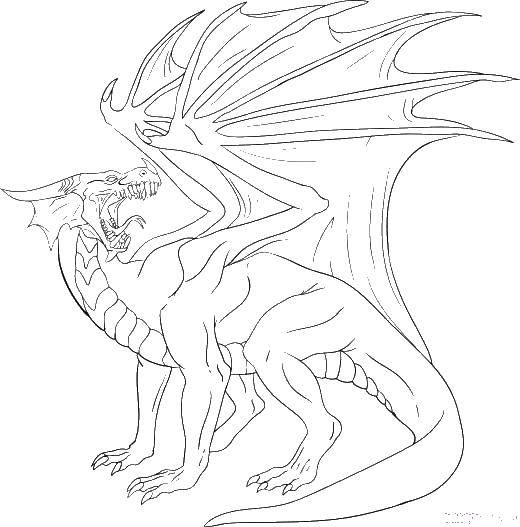 Coloring Angry dragon. Category Dragons. Tags:  dragons, wings, tale.