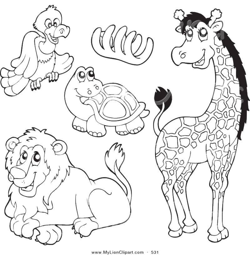 Coloring Animals.. Category animals. Tags:  animals, animals.