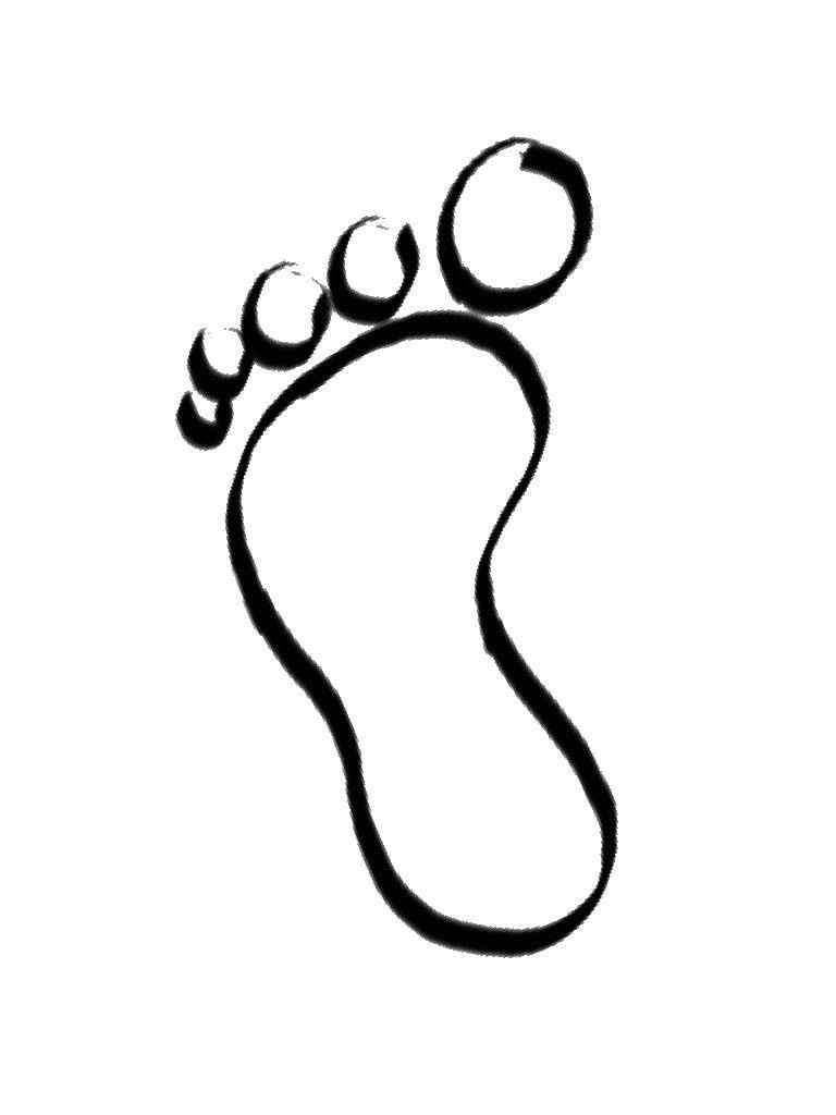 Опис: розмальовки  Сліди ноги людини. Категорія: Сліди тварин. Теги:  сліди, ноги, людина.