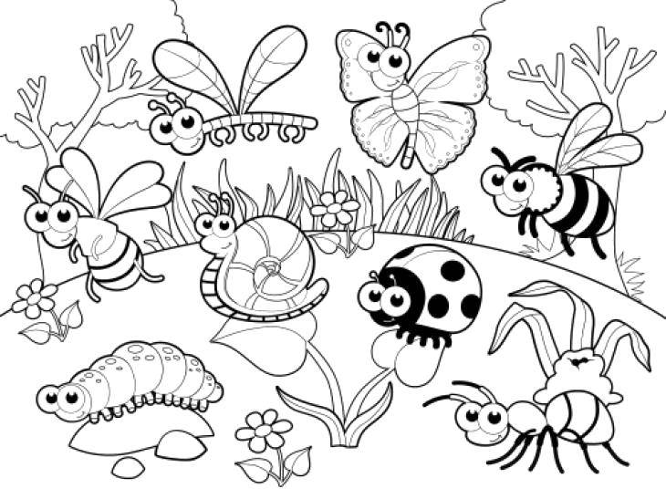 Опис: розмальовки  Всі комахи в зборі. Категорія: Комахи. Теги:  Комахи.