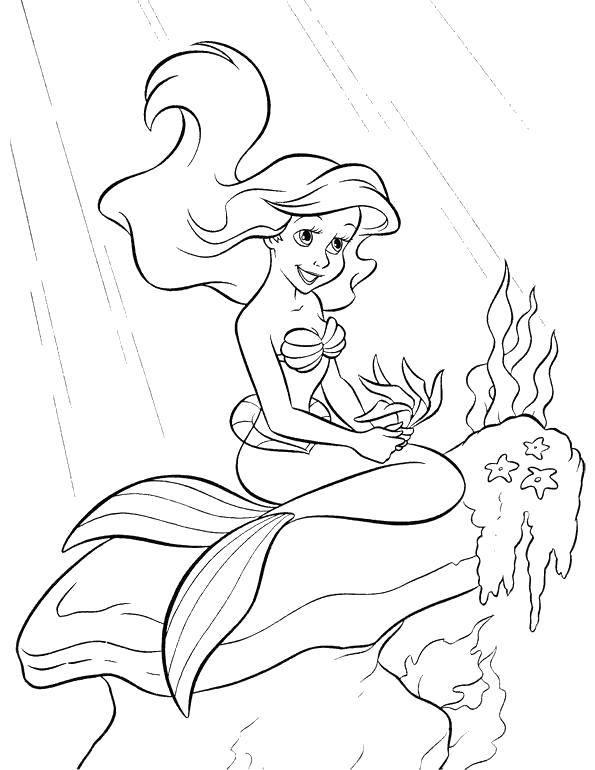 Coloring Ariel on the rock with the algae. Category Disney coloring pages. Tags:  Disney, the little mermaid, Ariel.