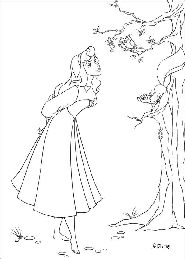 Coloring Aurora sings with the birds. Category Disney coloring pages. Tags:  Sleeping beauty, Disney.