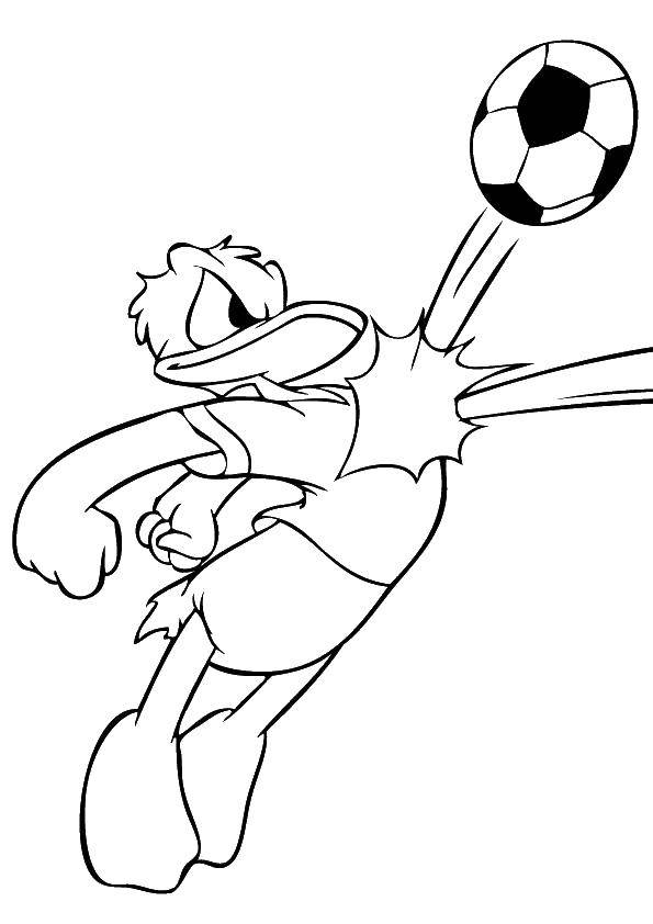 Coloring Donald plays the ball off. Category Disney cartoons. Tags:  Donald duck, Mickey mouse.