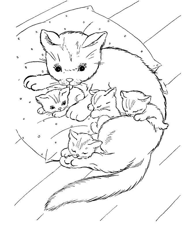 Название: Раскраска Кошка мама с спящими котятами. Категория: Кошка. Теги: кошка, кот, котята.