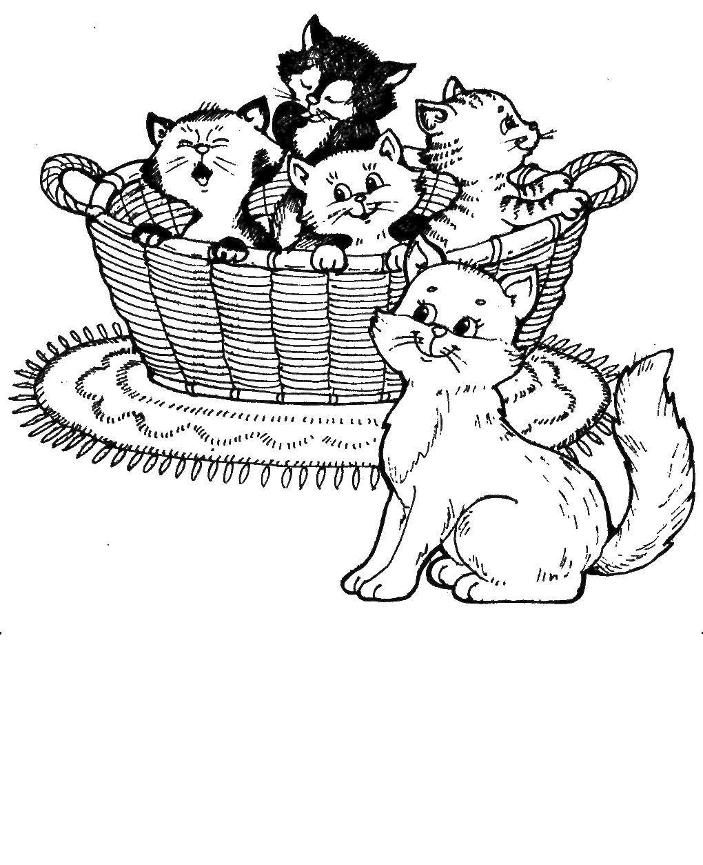 Название: Раскраска Кошка следит за своими котятами. Категория: домашние животные. Теги: Животные, котёнок, кошка.