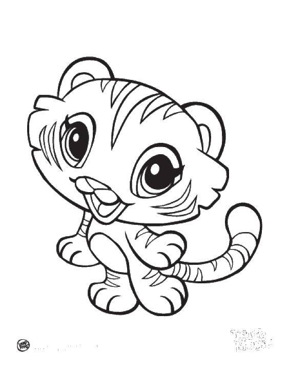 Название: Раскраска Малыш тигр. Категория: детеныши животных. Теги: Животные, тигр.