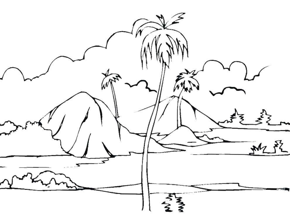 Раскраска Остров с пальмами