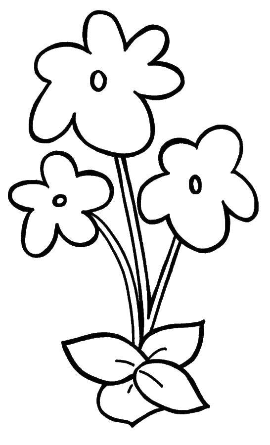 Coloring Simple flowers. Category Coloring pages for kids. Tags:  Flowers, flower.
