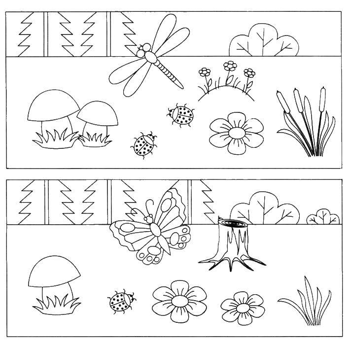 Coloring Coloring book-mystery. Category coloring pages, spot the difference. Tags:  the mystery , thinking, logic, difference, nature.