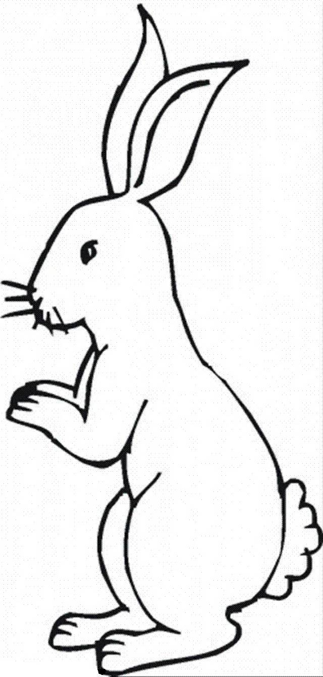 Coloring Figure of a hare. Category Pets allowed. Tags:  hare, rabbit.