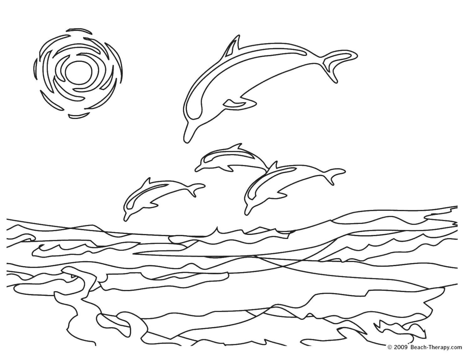 Coloring A flock of dolphins. Category marine. Tags:  Underwater world, Dolphin.
