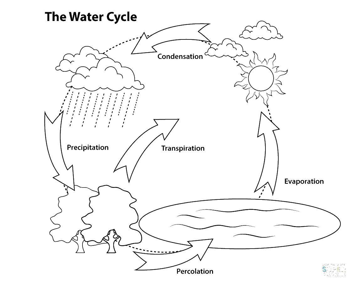 Coloring Water circulation. Category Nature. Tags:  circulation, water.