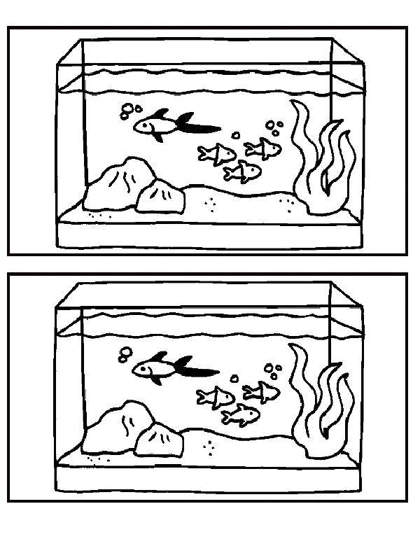 Coloring Mystery coloring. Category coloring pages, spot the difference. Tags:  the mystery , thinking, logic, difference, fish, aquarium.