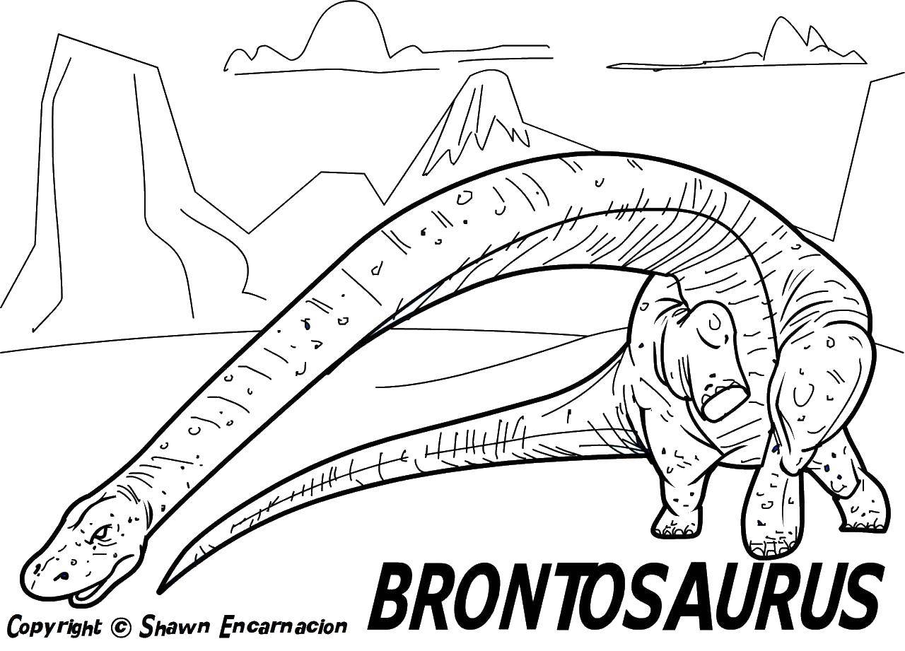 Розмальовки  Бронтозавр , довга шия. Завантажити розмальовку Динозаври, бронтозавр.  Роздрукувати ,парк юрського періоду,