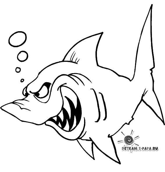 Розмальовки  Підступна акула. Завантажити розмальовку Підводний світ, риба.  Роздрукувати ,риби,