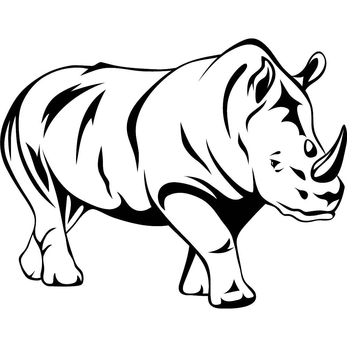Розмальовки  Великий носоріг. Завантажити розмальовку Тварини, носоріг.  Роздрукувати ,Тварини,