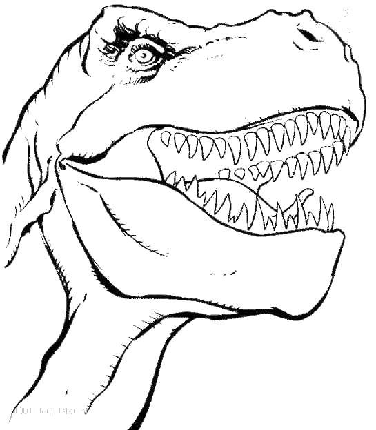 Розмальовки  Гострі зуби тиранозавра. Завантажити розмальовку Динозаври, тиранозавр.  Роздрукувати ,парк юрського періоду,