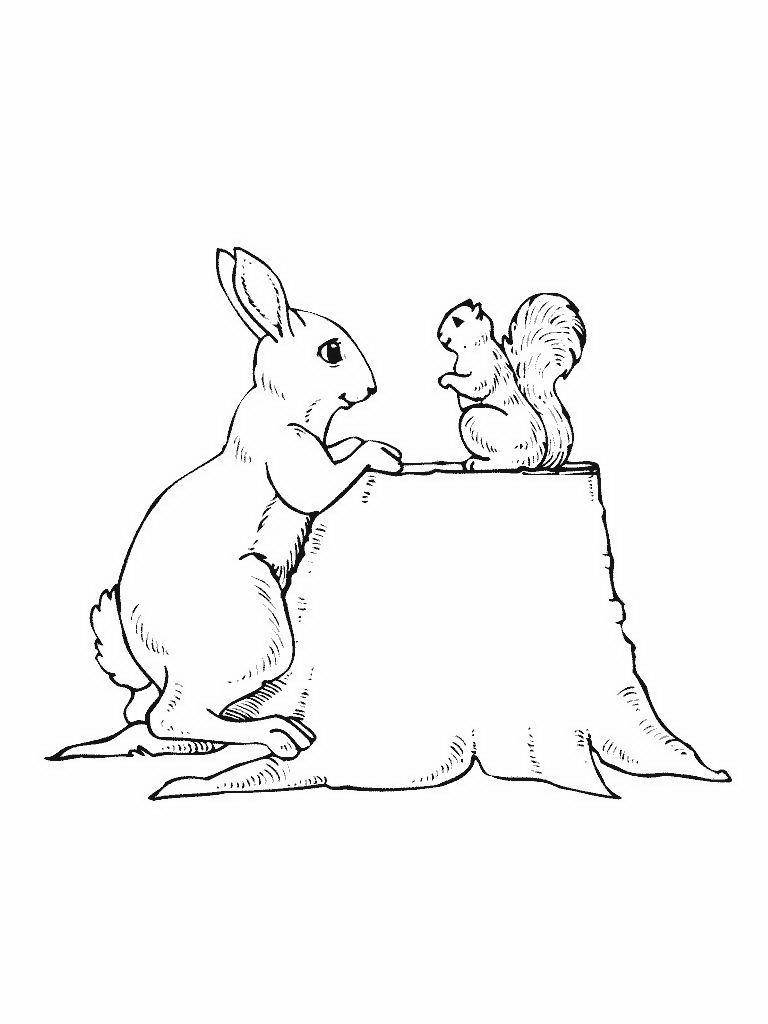 Розмальовки  Малюнок зайця і білки сидять на пеньку. Завантажити розмальовку заєць, кролик.  Роздрукувати ,домашні тварини,
