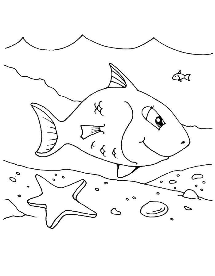 Розмальовки  Рибка мирно плаває. Завантажити розмальовку Підводний світ, риба.  Роздрукувати ,риби,