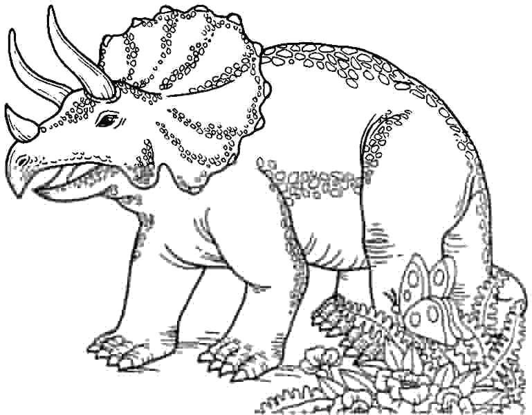 Опис: розмальовки  Трицератопс і метелик. Категорія: парк юрського періоду. Теги:  Динозаври.