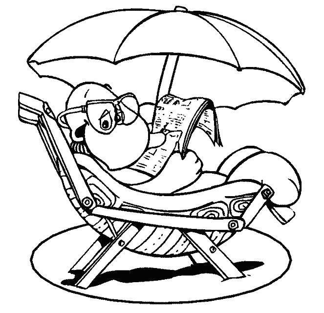 Название: Раскраска Черепашка на летнем отдыхе. Категория: Лето. Теги: Отдых, дети, вода, веселье.