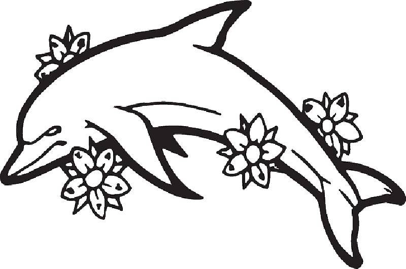 Coloring Dolphin in flowers. Category marine. Tags:  Underwater world, Dolphin.