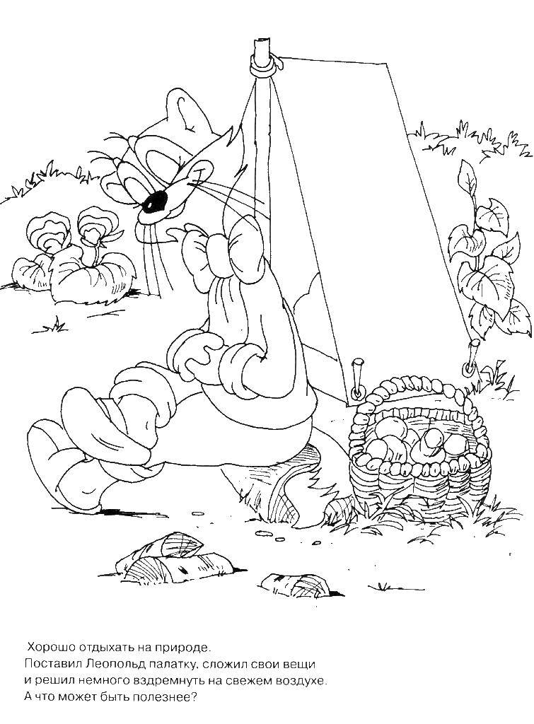 Coloring Leopold the cat on the nature. Category coloring cat Leopold. Tags:  Leopold the cat, nature.