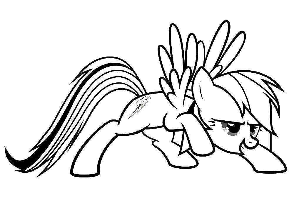 Coloring Crouching pony. Category Ponies. Tags:  Pony, My little pony .