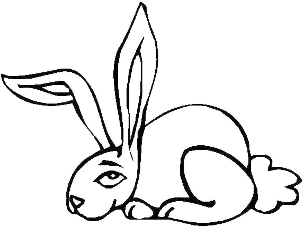 Название: Раскраска Кролик длинно ухий. Категория: раскраски зима. Теги: кролик, заяц.